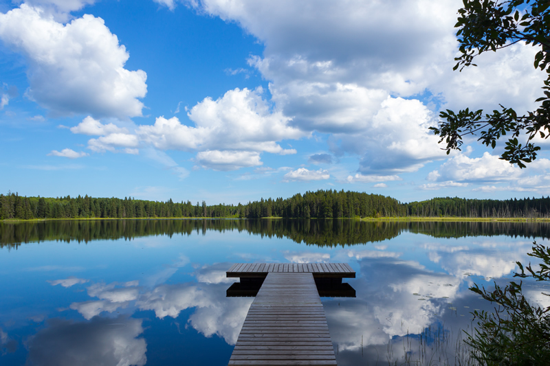 Reflection by Andrew March